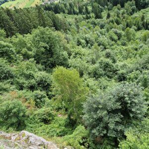 Seinerzeit (7) v prvej dĺžke