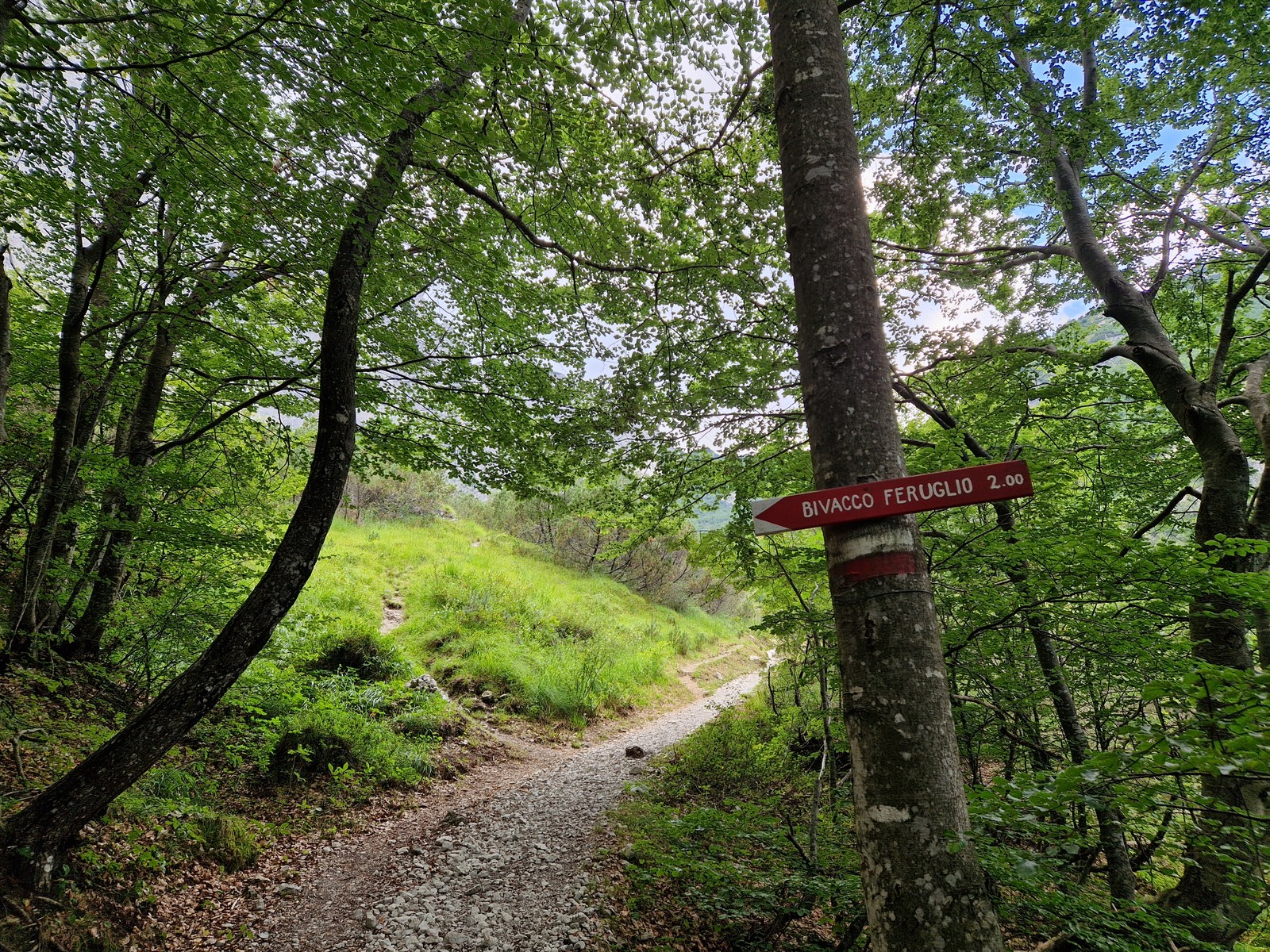 Via Flopland (20)