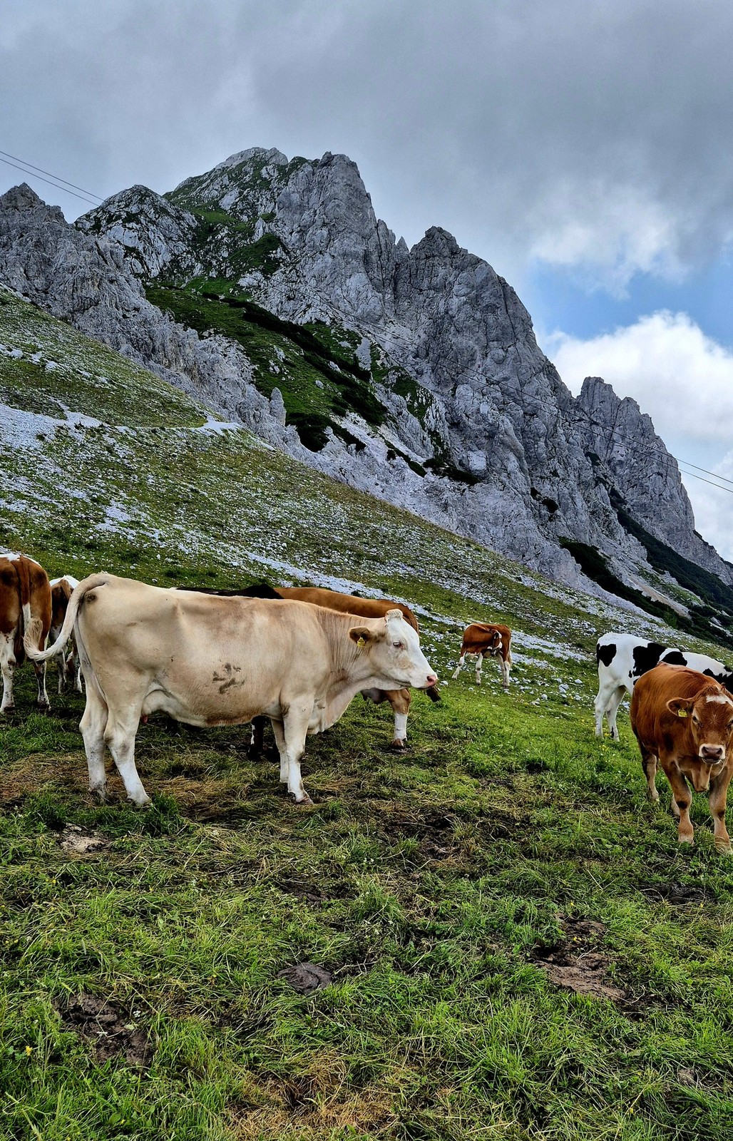 Ferrata Daumling Nassfeld (02)