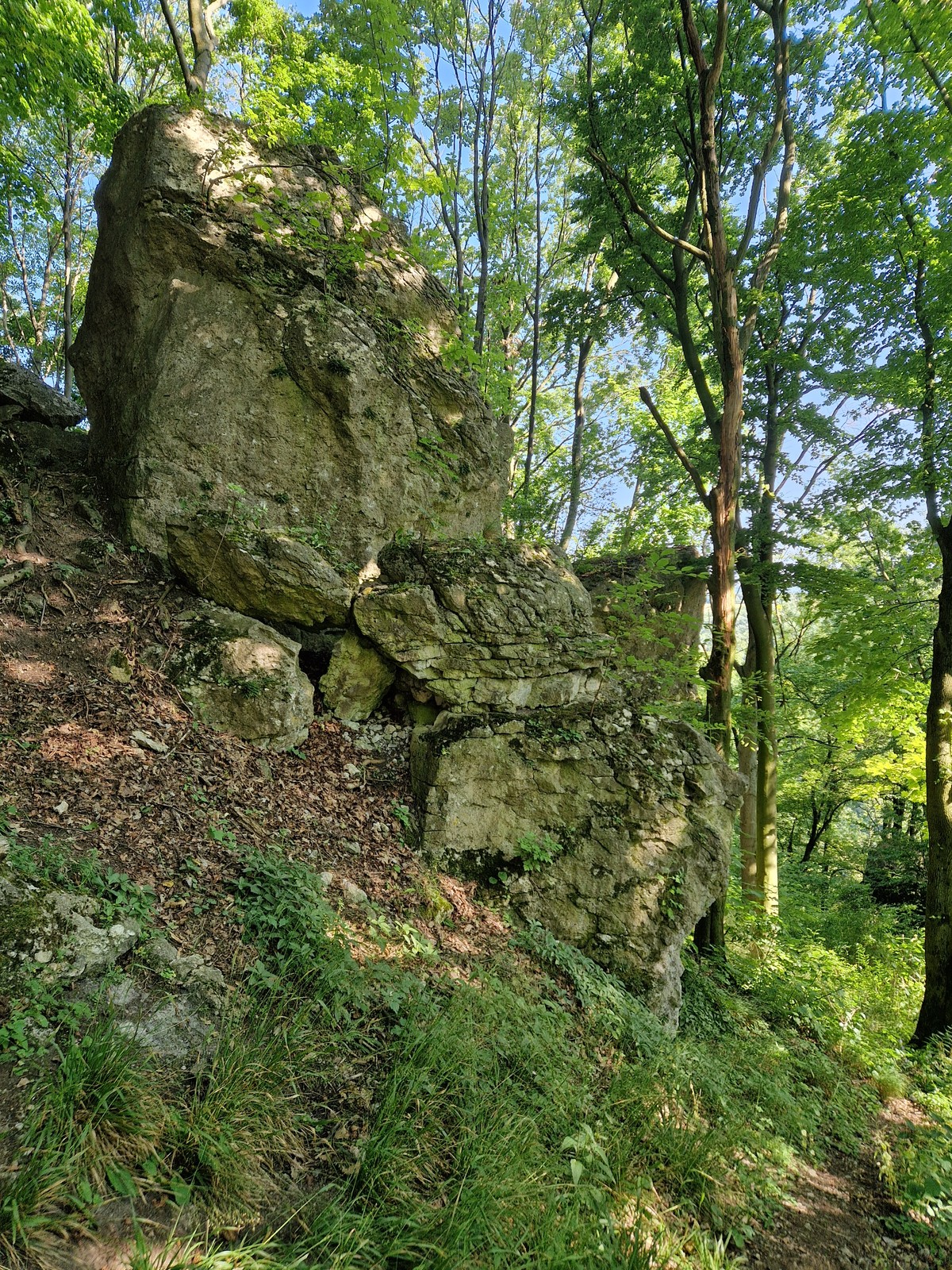 Opičie veže (13)