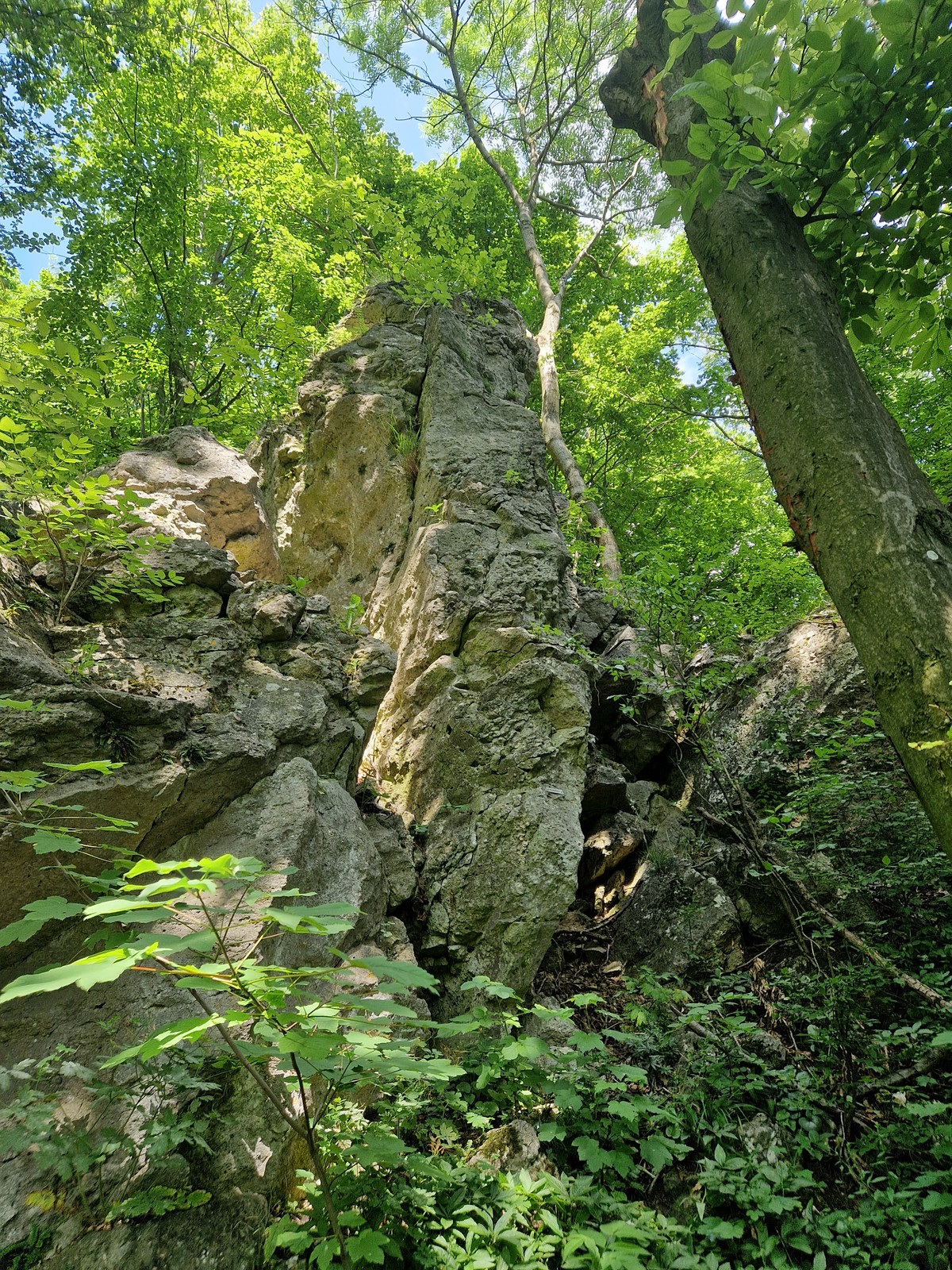 Opičie veže (2) sektor Vežička