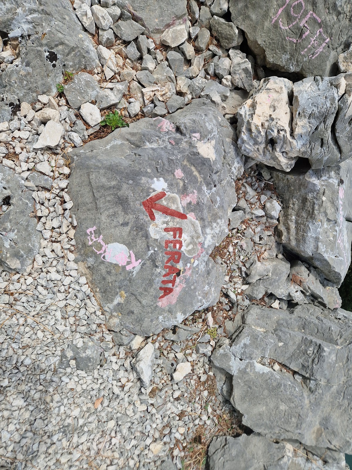 Fortica (4)