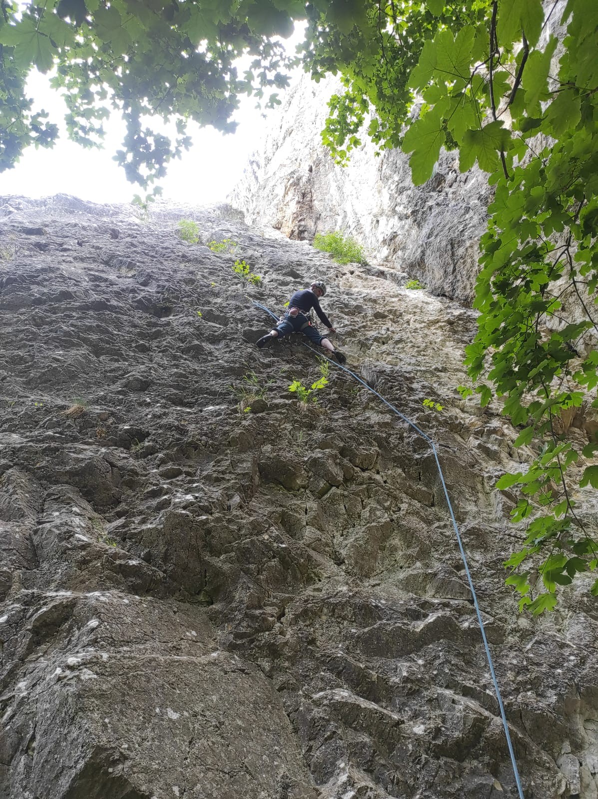 Pálava (8) cesta Narovnaný stred