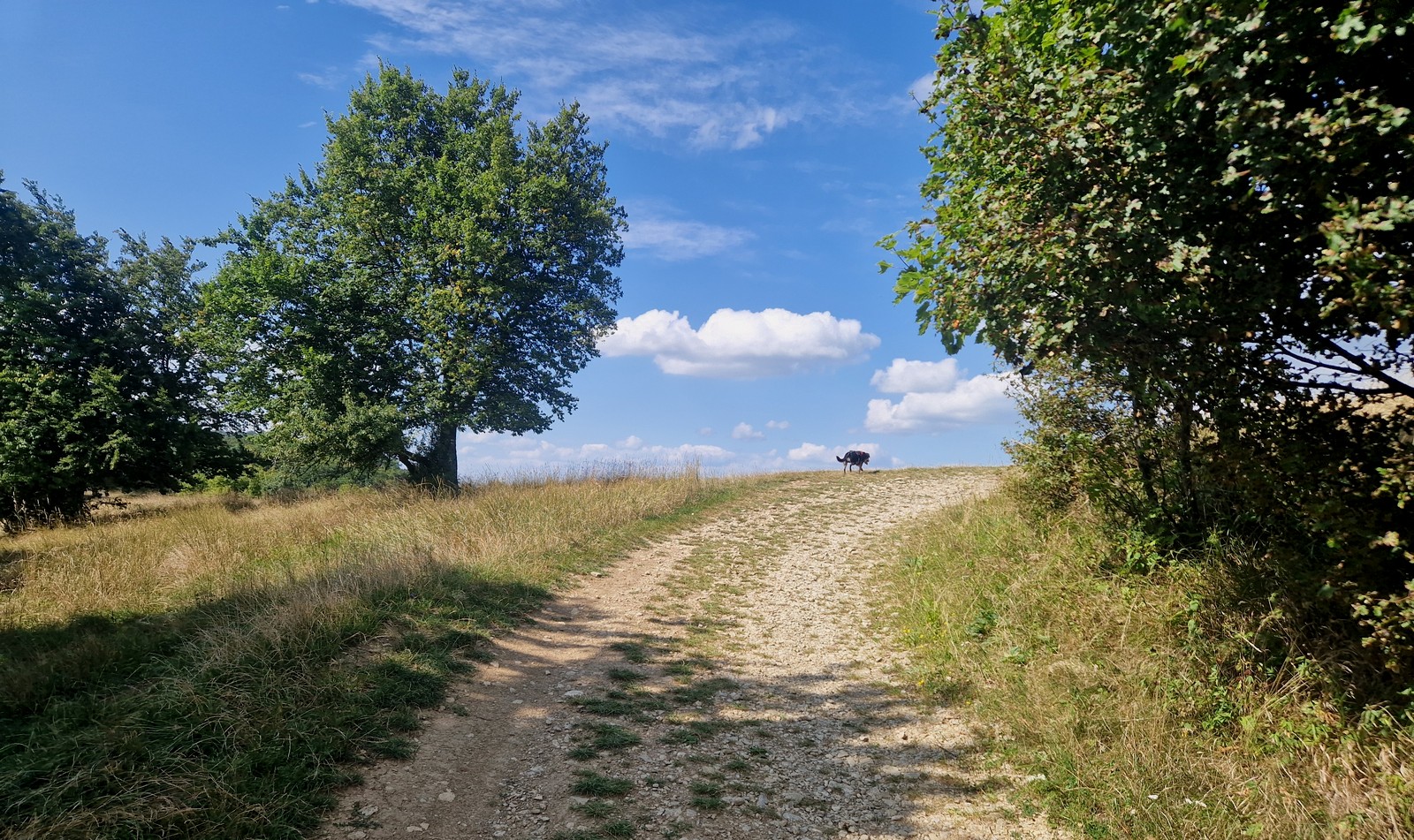 Hrad Tematín (1) Bezovecký kras