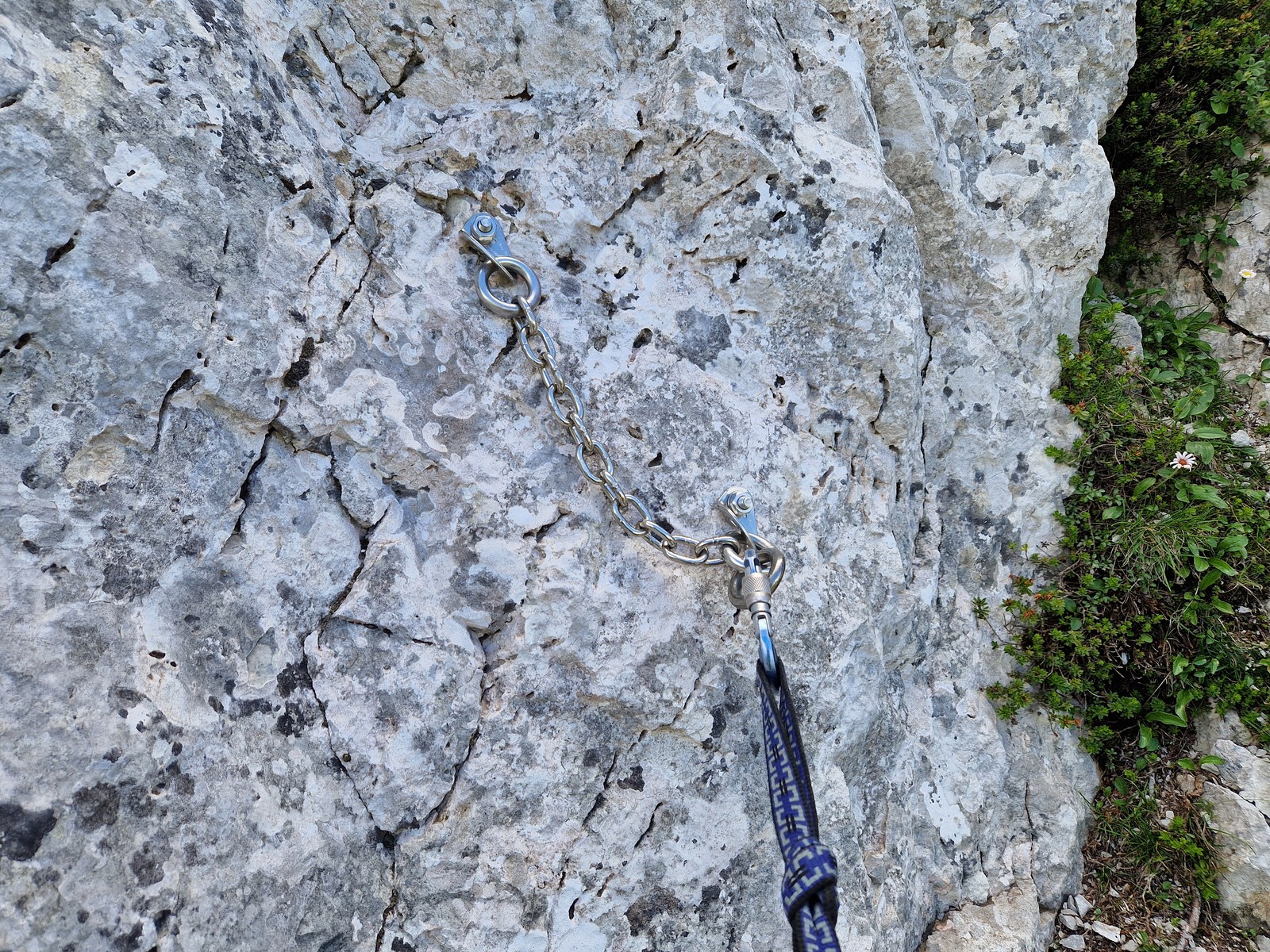Klagenfurter Spitze (9) ukážkové štandy