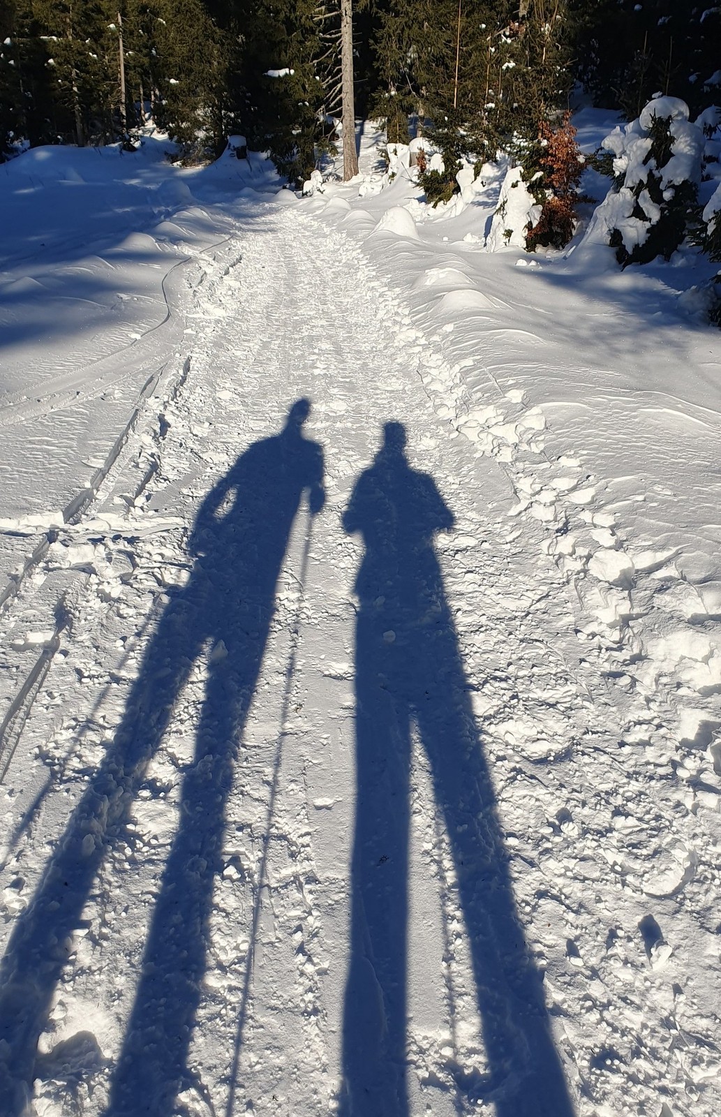 Skialp Altopiano del Montasio Forca dei Disteis (02) ranné tiene