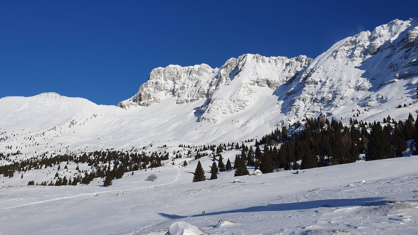 Skialp Altopiano del Montasio Forca dei Disteis (05)