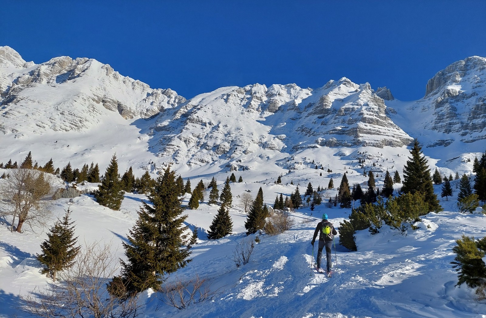 Skialp Altopiano del Montasio Forca dei Disteis (07)