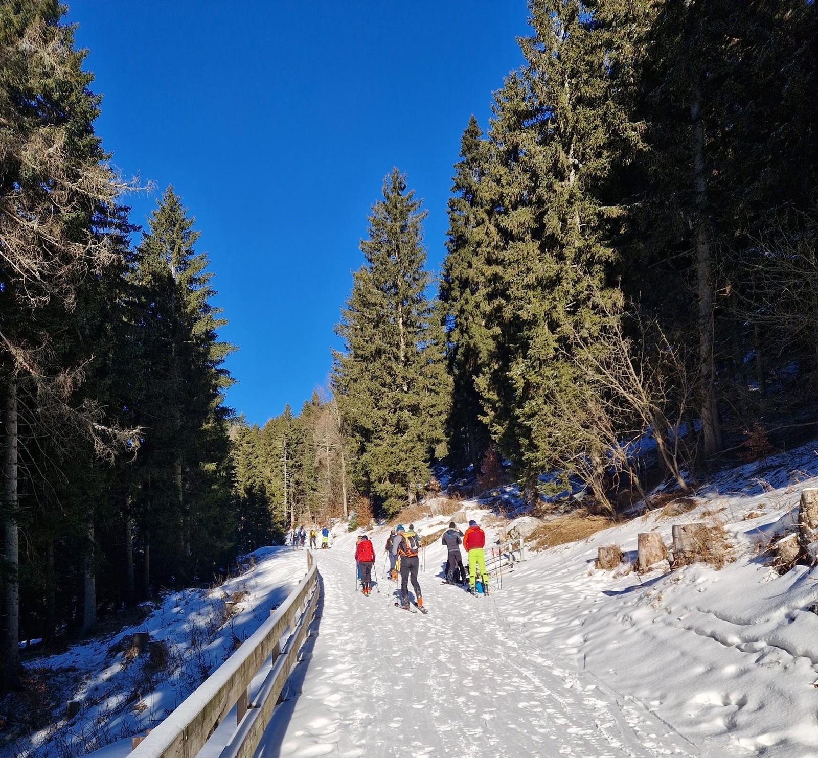 Skialp Altopiano del Montasio Forca del Palone, Curtissons (01)