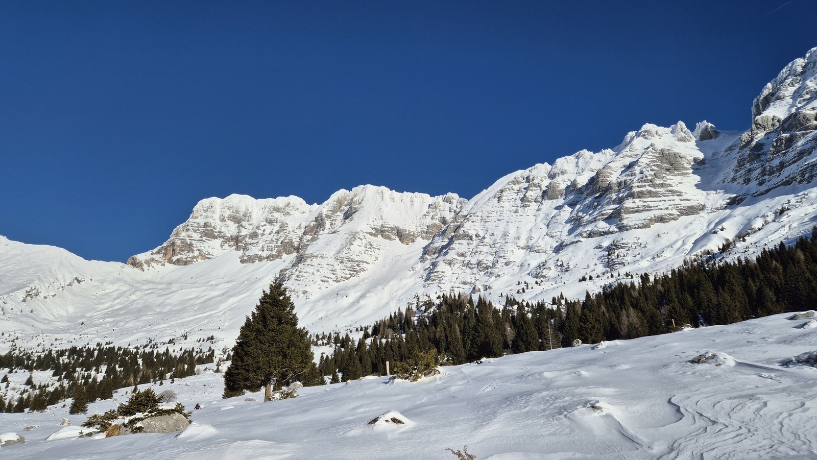 Skialp Altopiano del Montasio Forca del Palone, Curtissons (03)