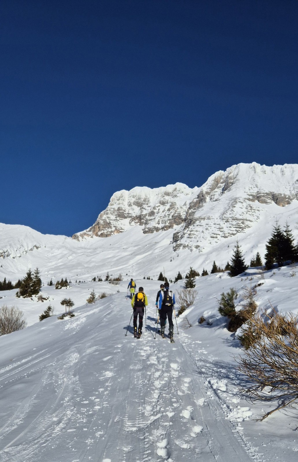 Skialp Altopiano del Montasio Forca del Palone, Curtissons (05)