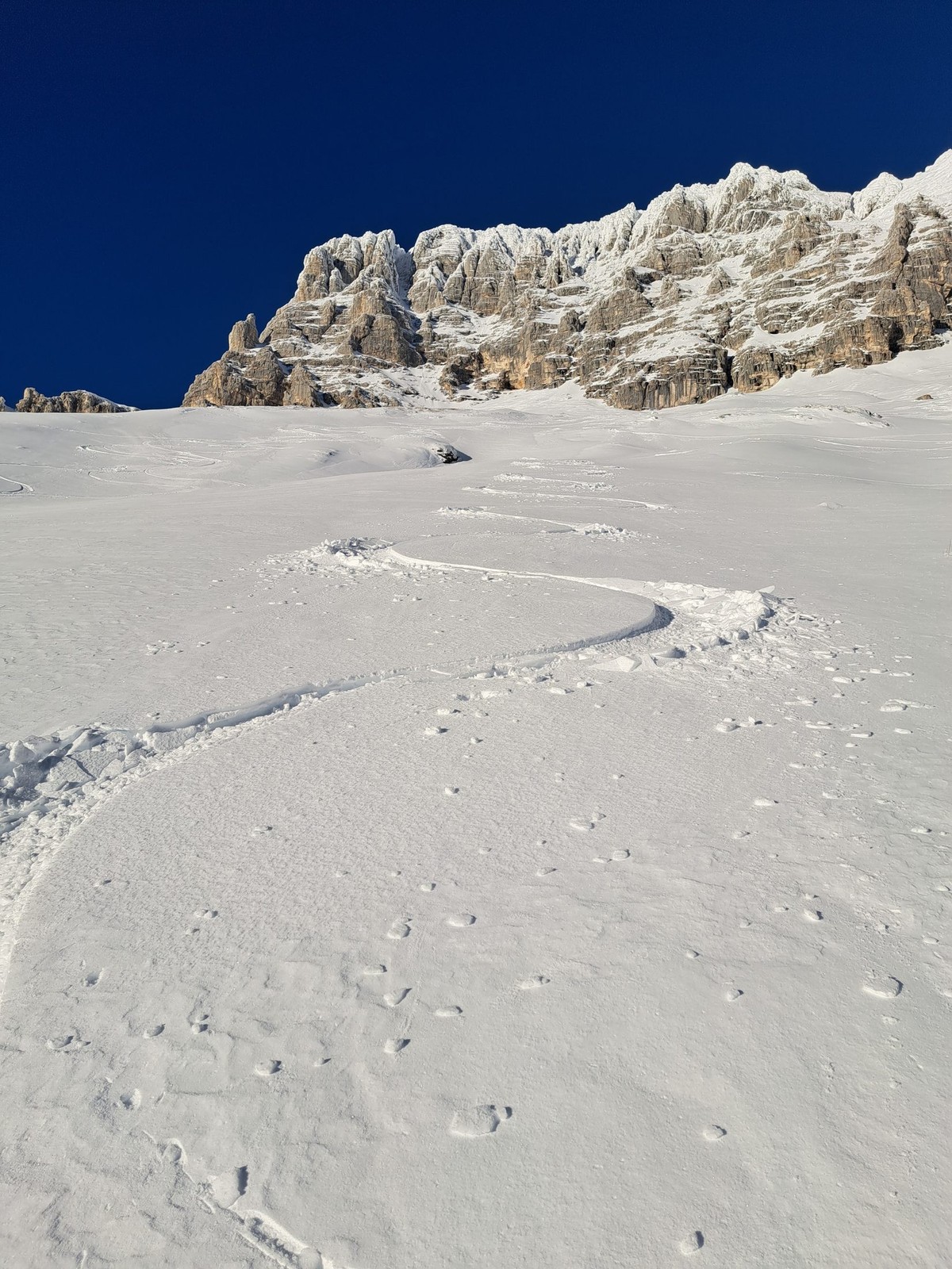 Skialp Altopiano del Montasio Forca del Palone, Curtissons (33)