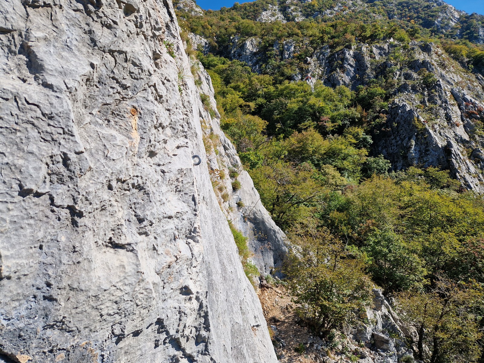 Vipava (19)