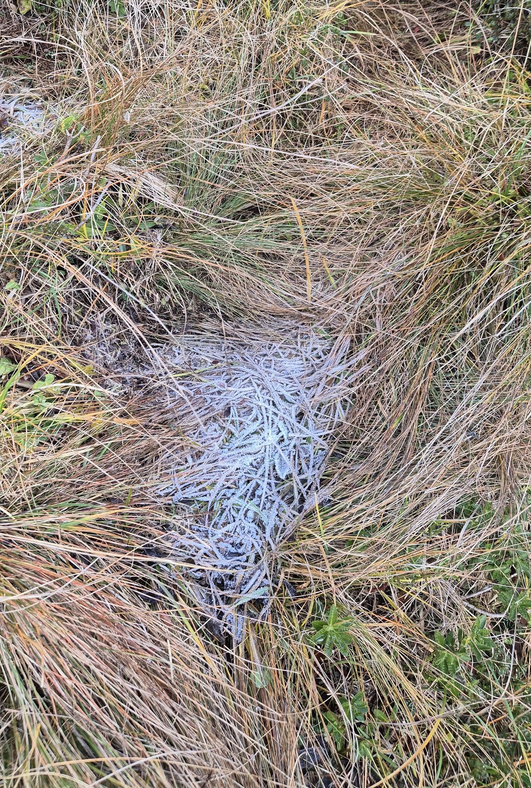 Alpinistická túra na Zuc dal Bor (14)