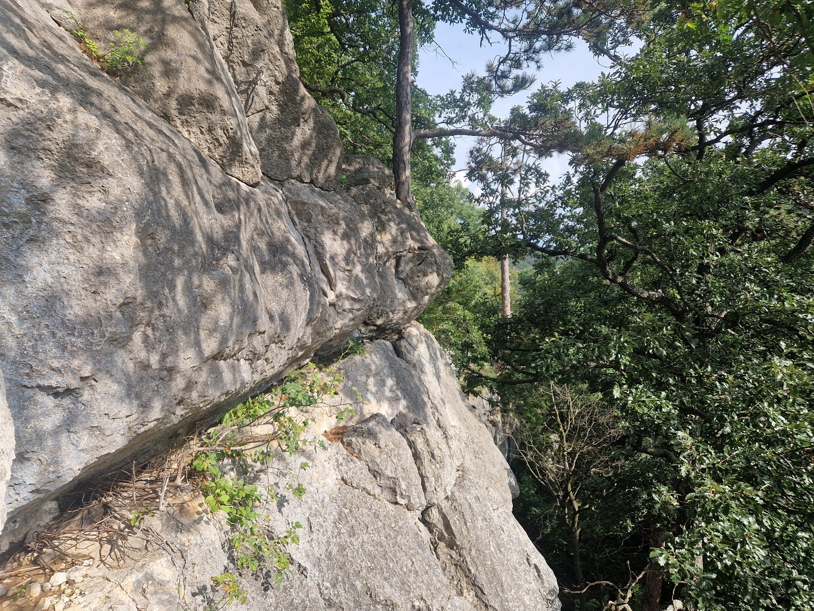Badener Kletterschule (10) vrchol skaliek
