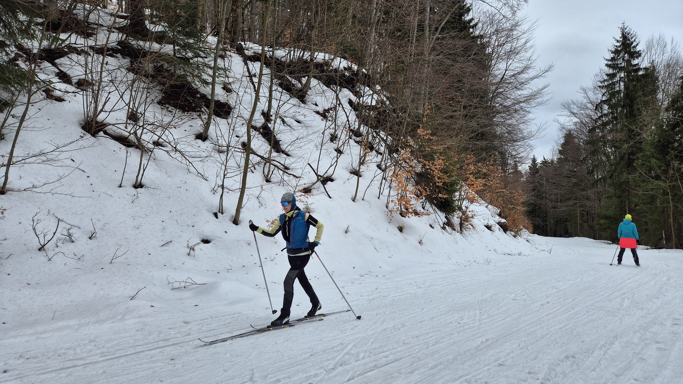 Kordícka zvážnica 01