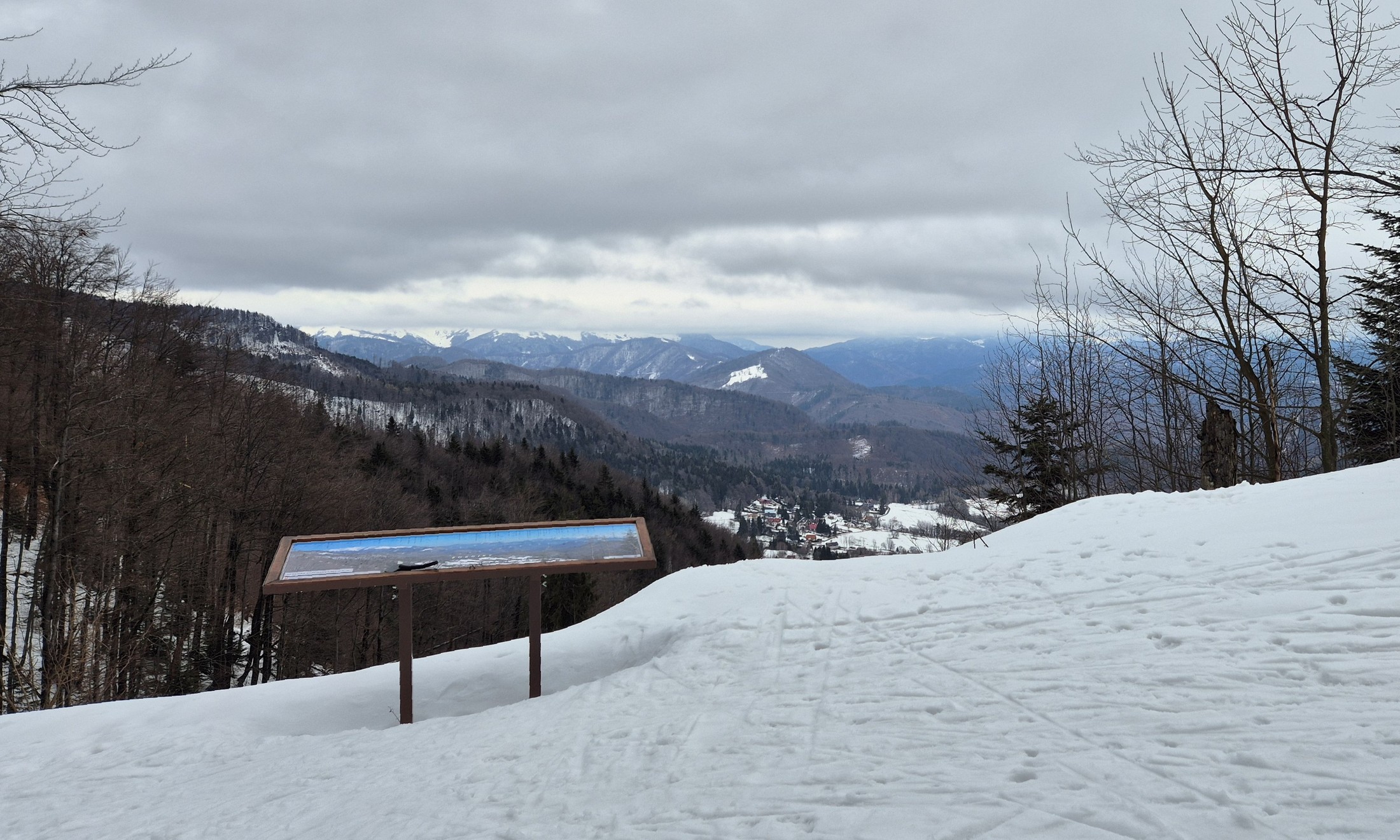 Kordícka zvážnica 02