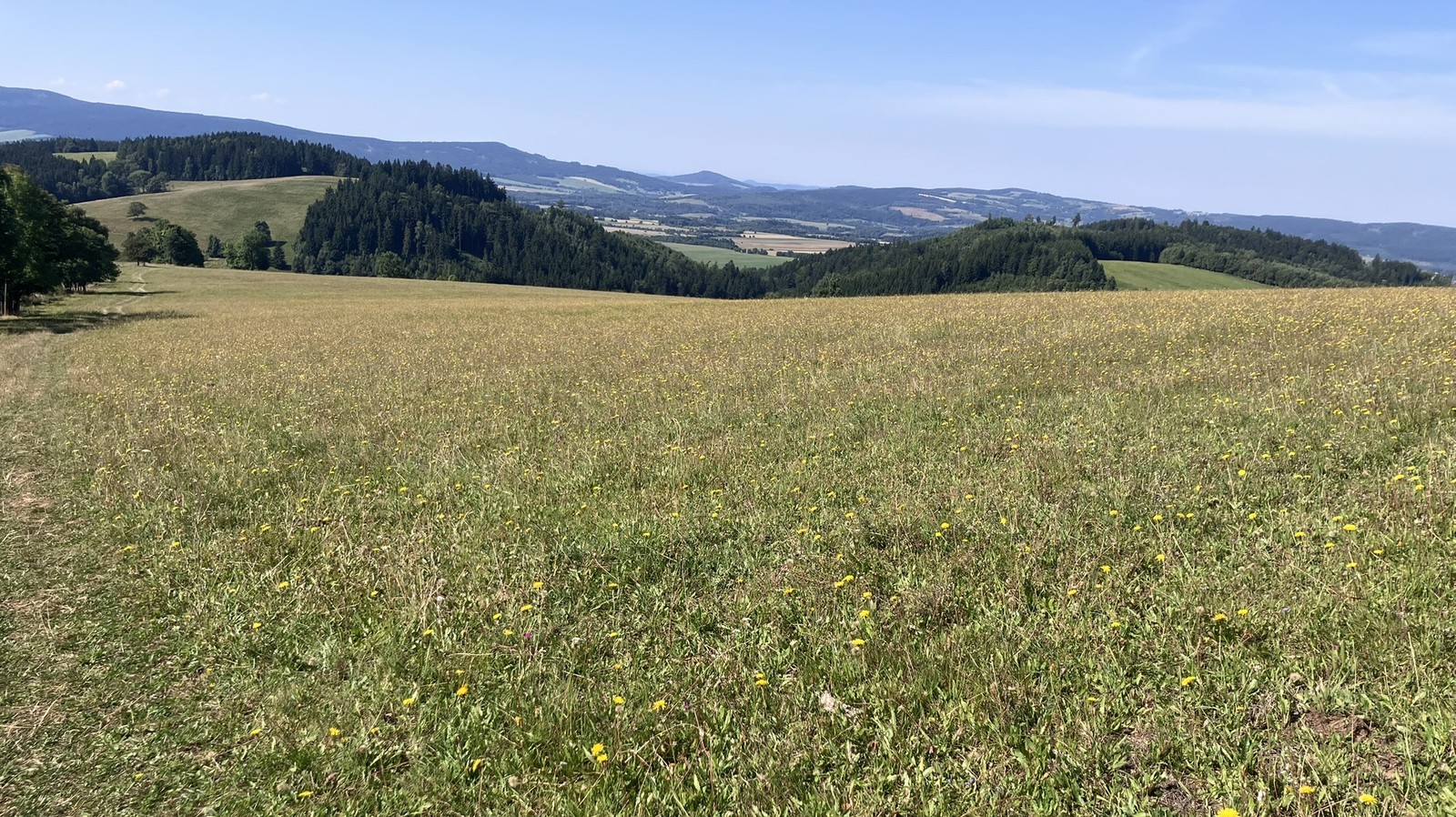 Orlické hory, lúky