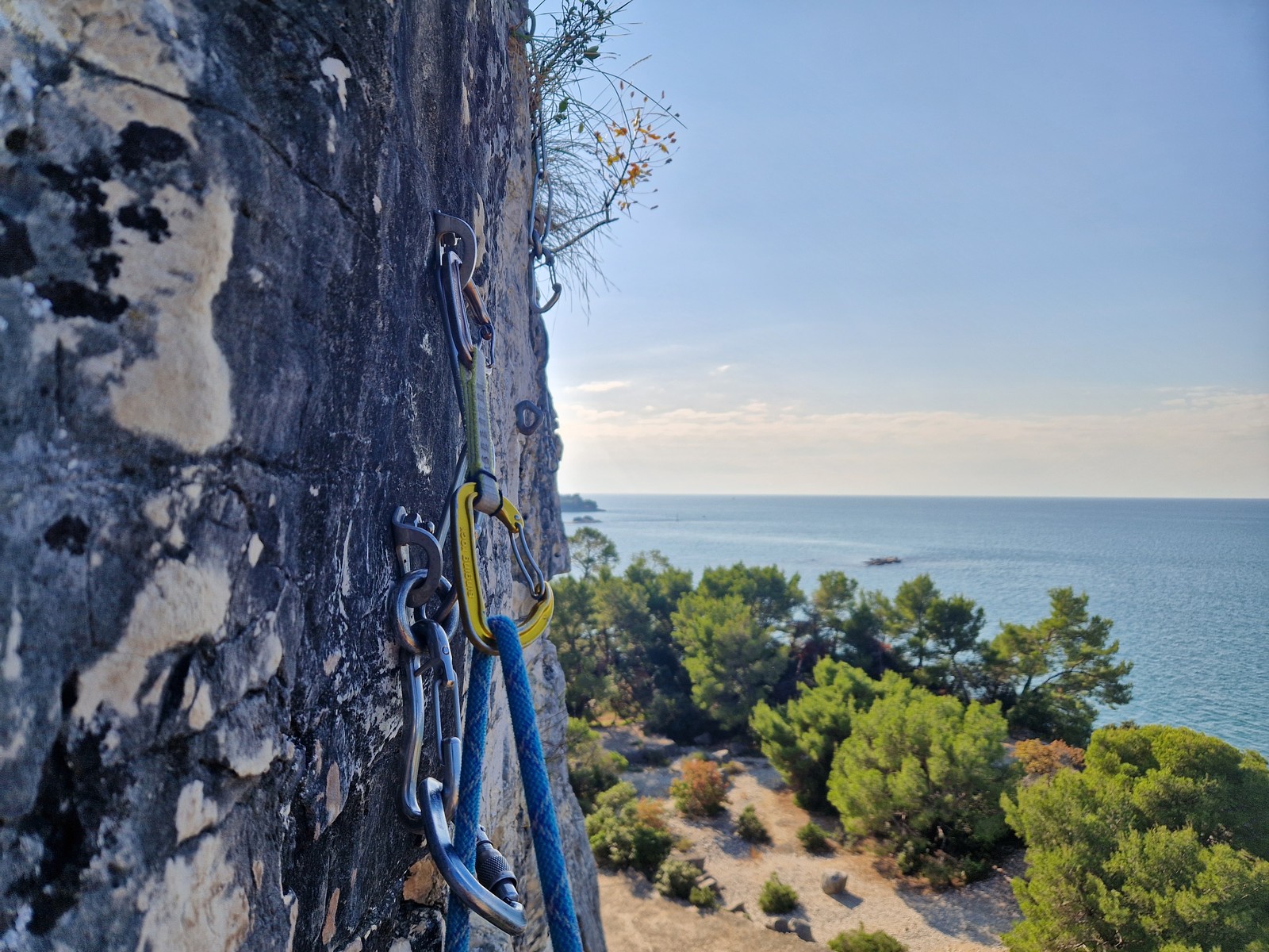 Rovinj (16) zlaňák