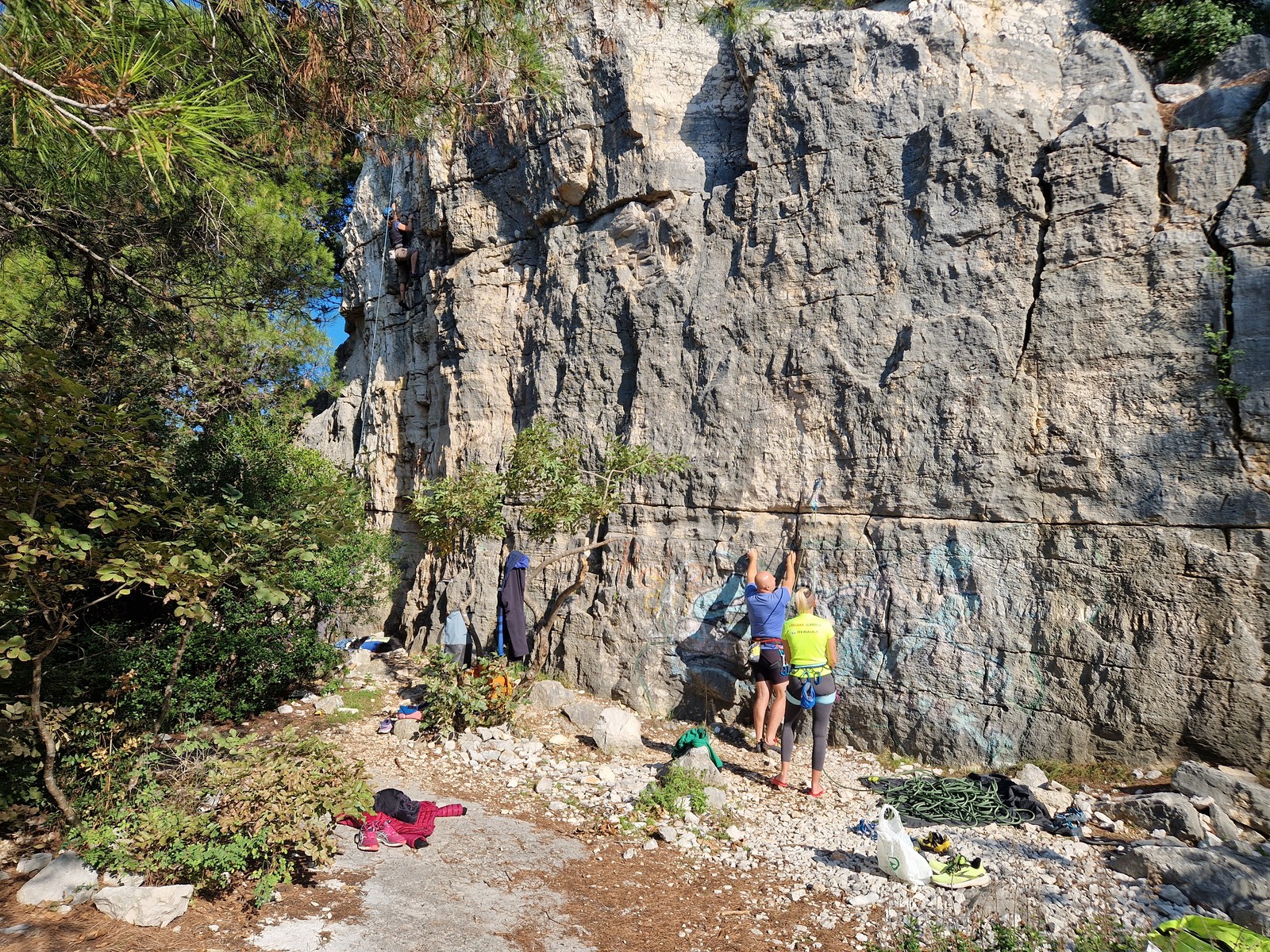 Rovinj (6) sektor D