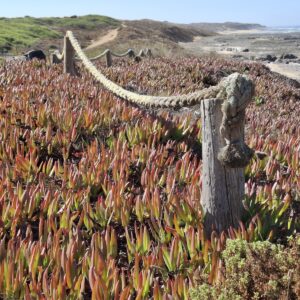 Fishermans Trail Portugal (06)