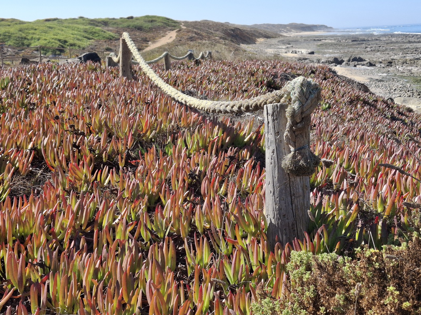 Fishermans Trail Portugal (06)