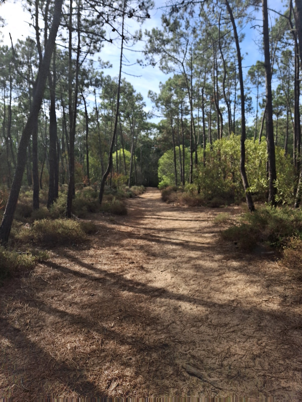 Fishermans Trail Portugal (17)