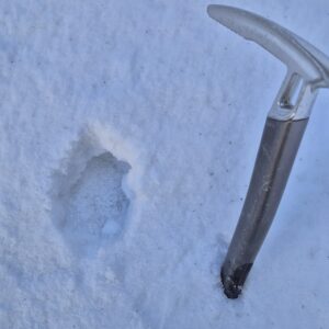 Strbina za Prostredným (06)