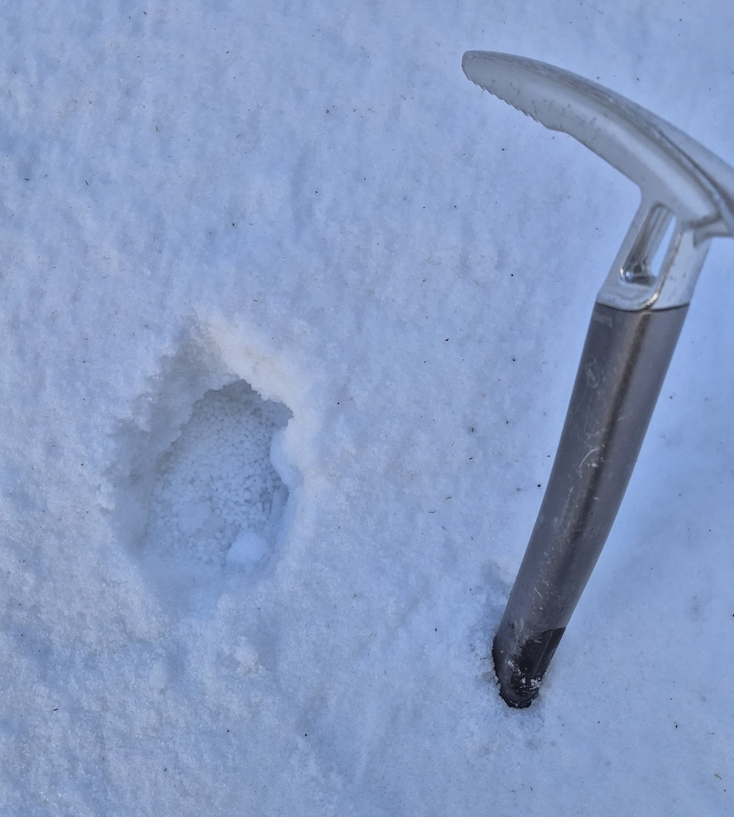 Strbina za Prostredným (06)