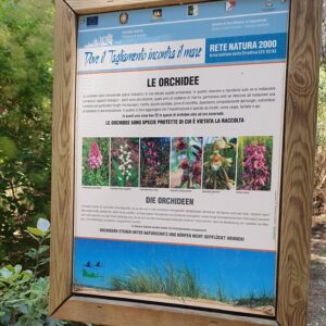 Cyklovýlet okolo ústia rieky Tagliamento {02}