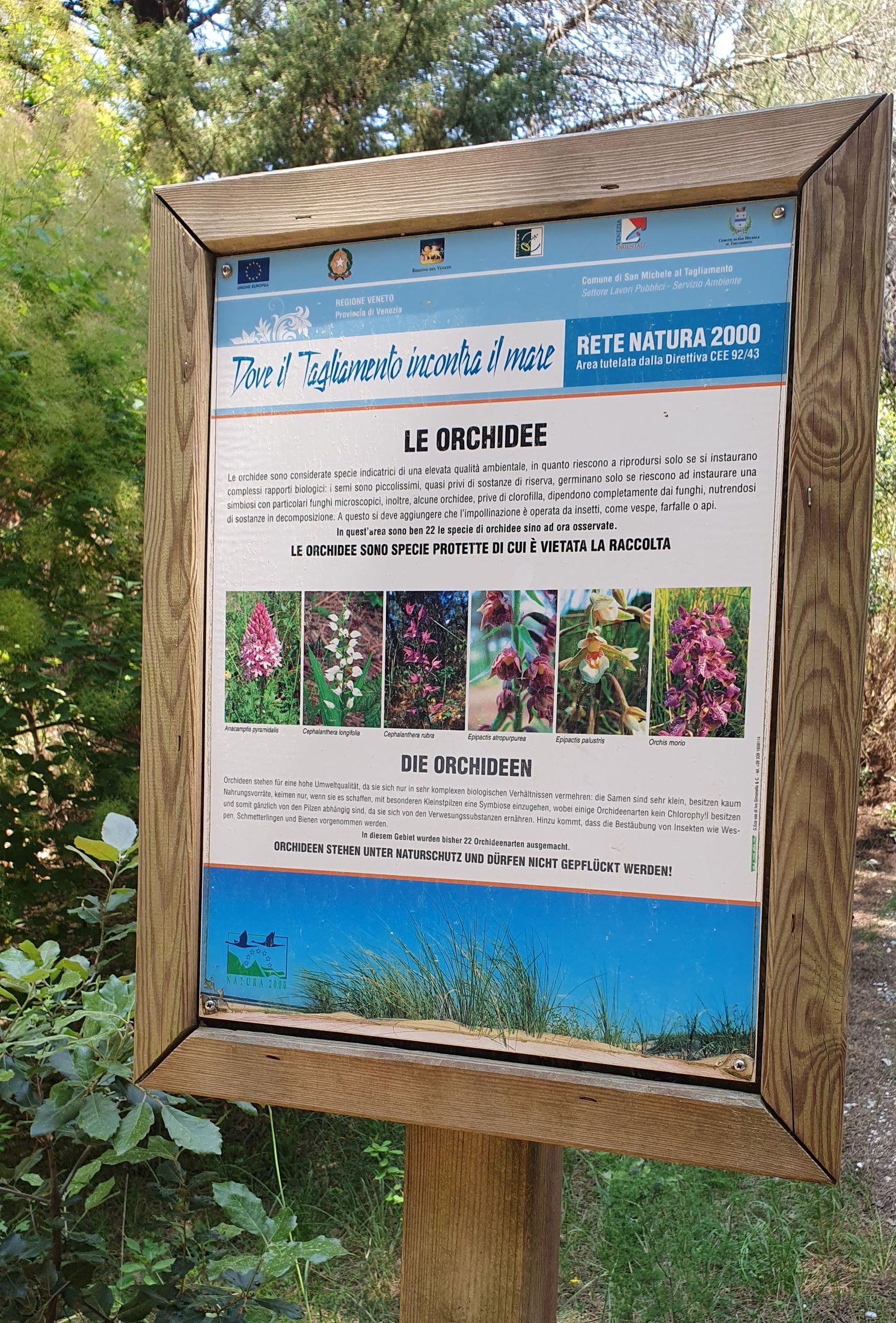 Cyklovýlet okolo ústia rieky Tagliamento {02}