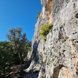 Limski kanal (5)