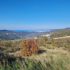 Crni kal (01) Terstský záliv