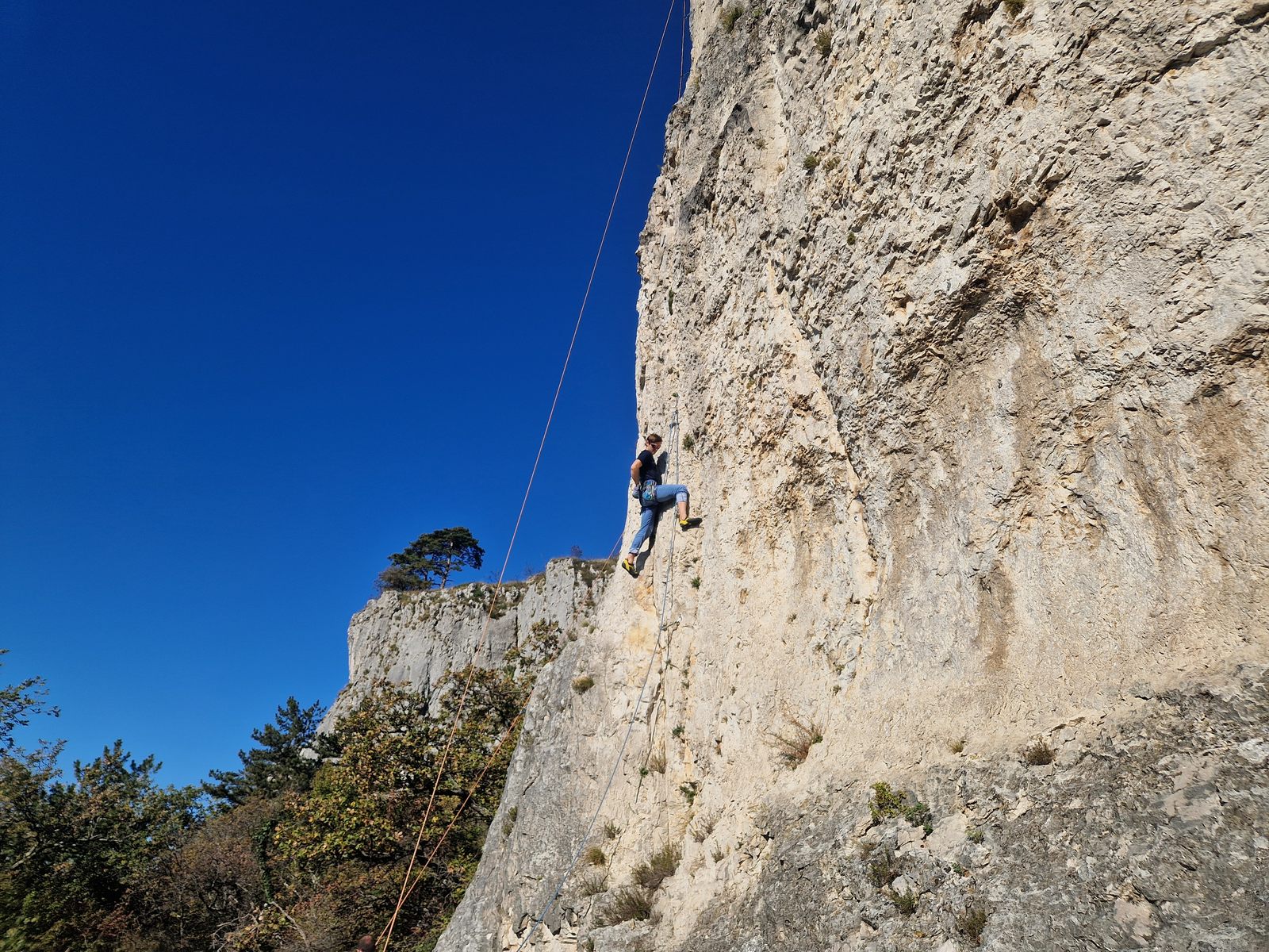 Crni kal (05)
