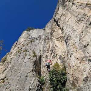Crni kal (06)