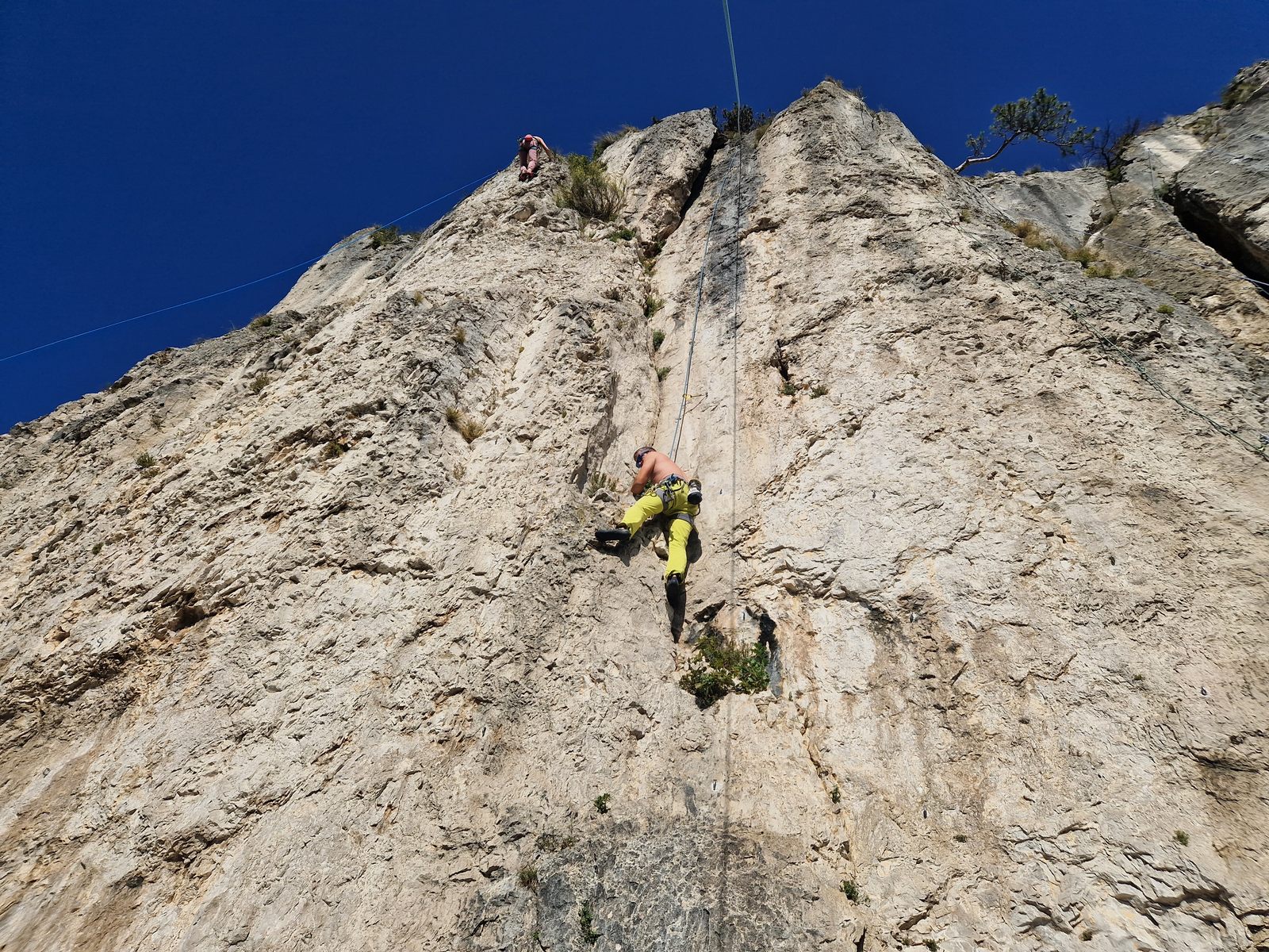 Crni kal (12)