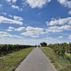 Cyklovýlet Modré Hory (06)