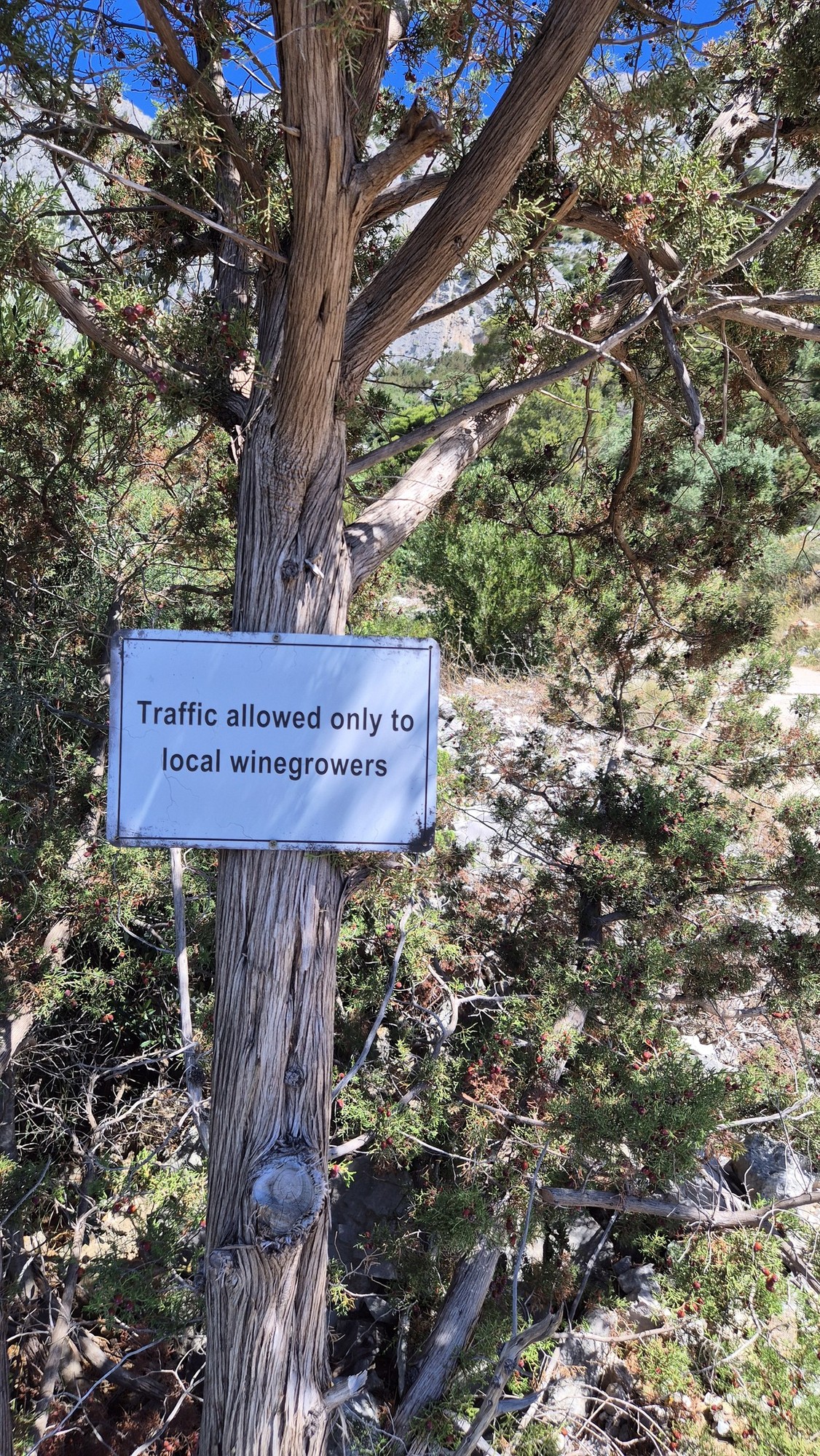 Ferrata Hvar (03)