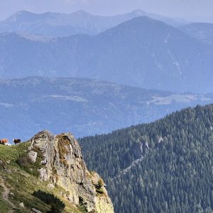 Trogkofel (04)