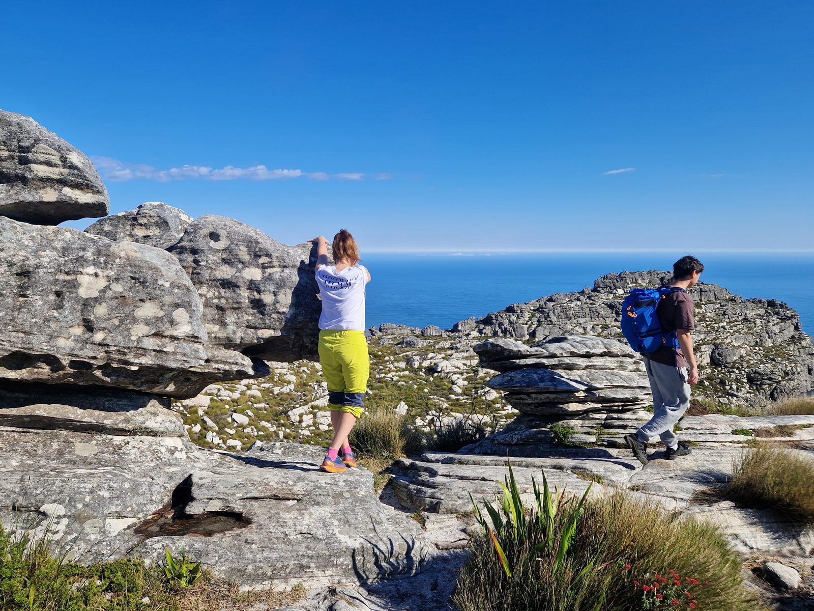 Stolová hora Cape town (19)