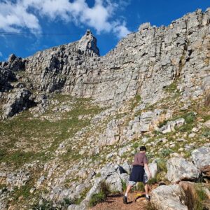 Stolová hora Cape town (7)