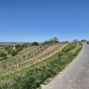 Giro di Mutenice (01)