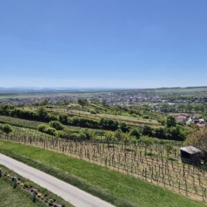 Giro di Mutenice (04)