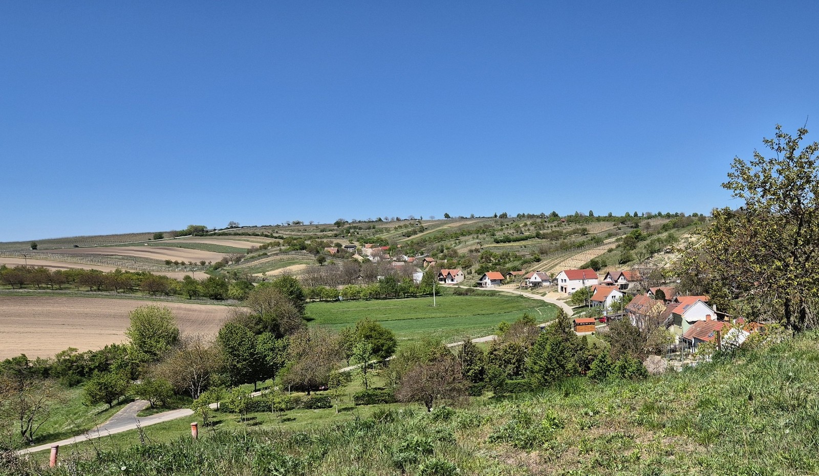 Giro di Mutenice (09)