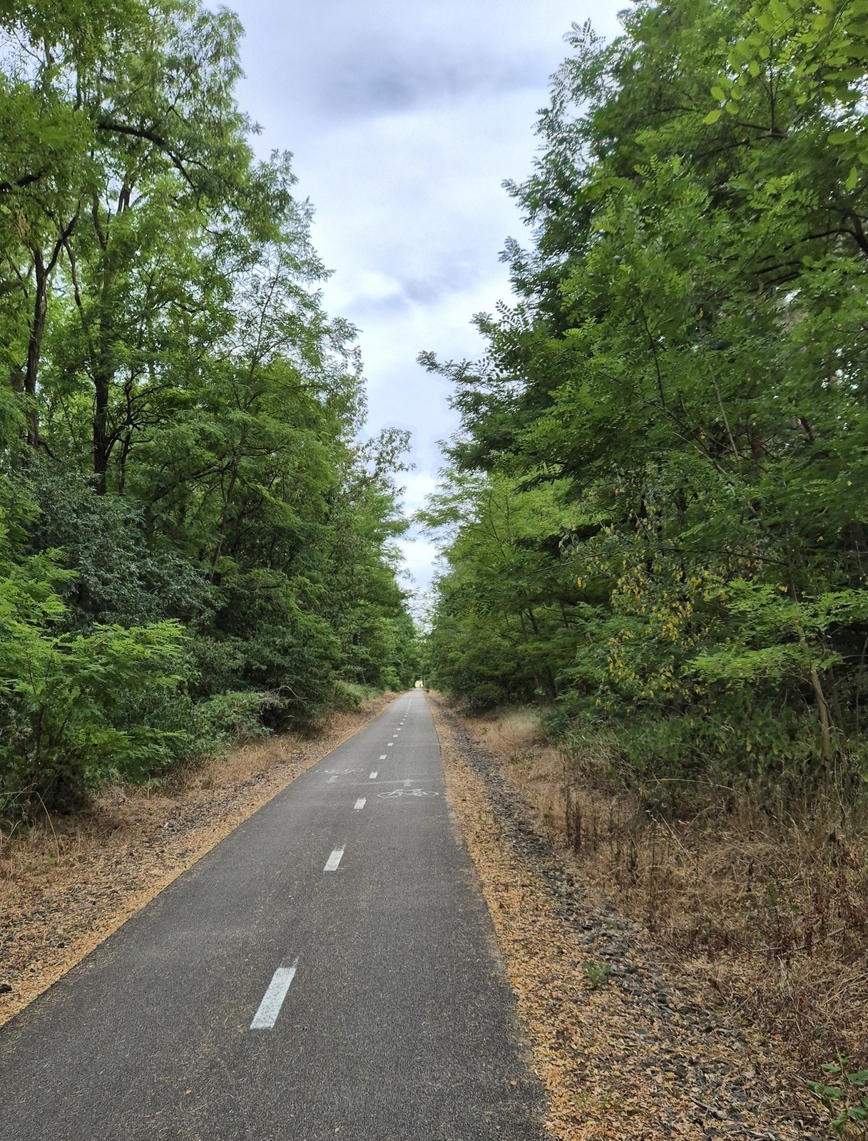 Giro di Mutenice (13)