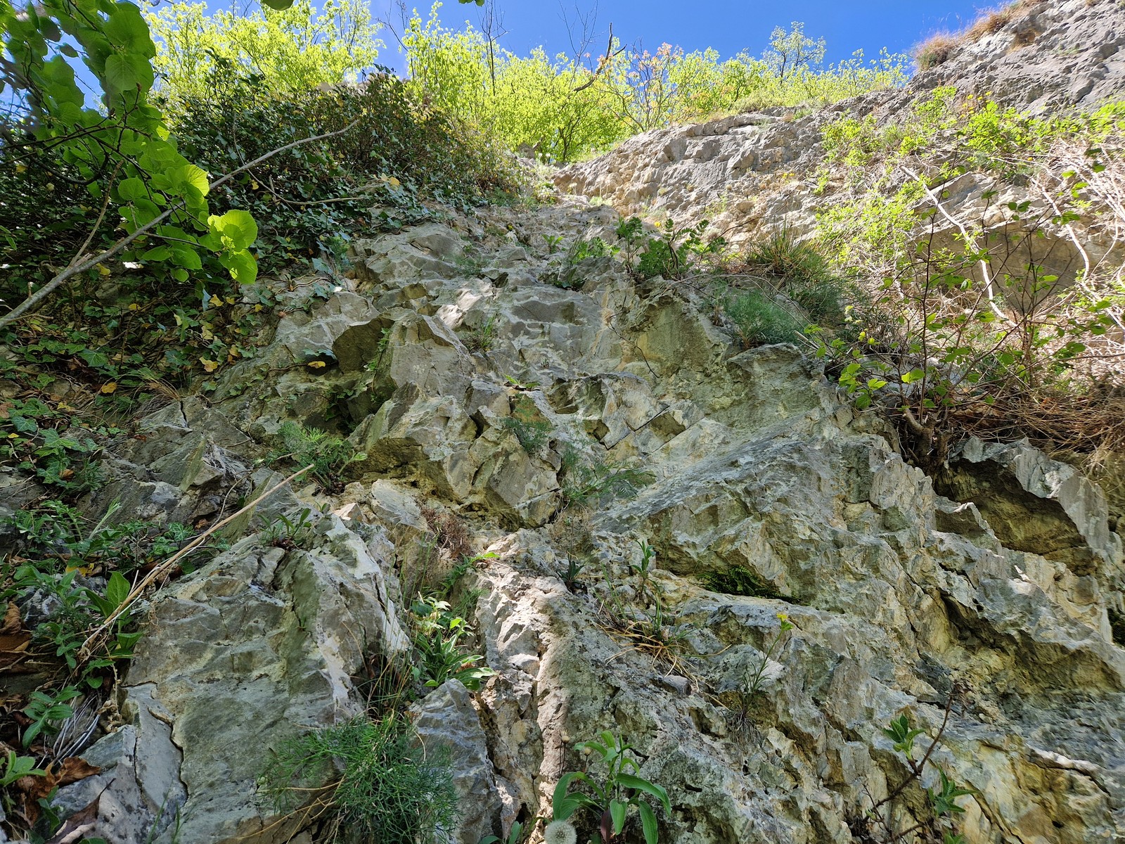 Henkelgalerie (17)
