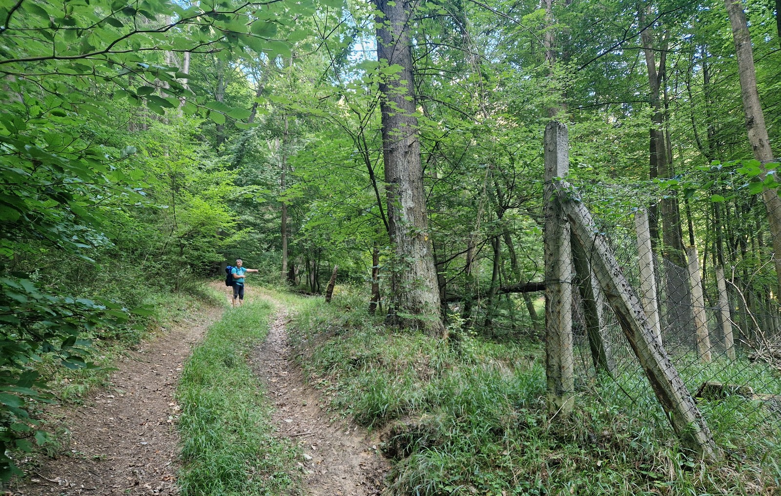 Baračka (12)
