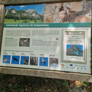 Geiler Hengst (1)